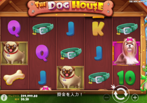 ザ・ドッグ・ハウス(The Dog House)の画像